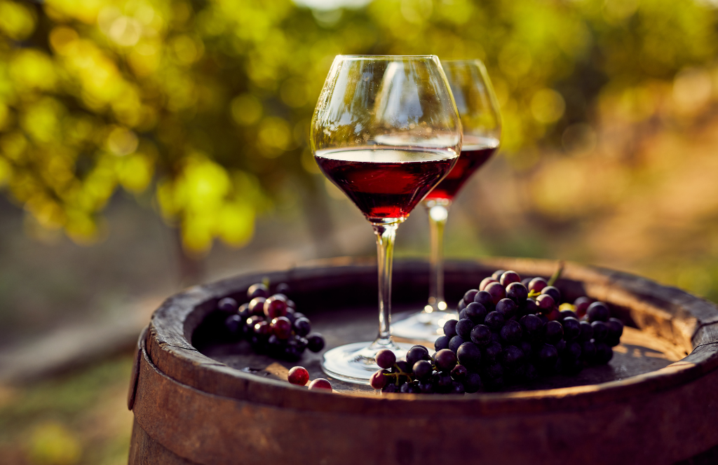 vino rosso migliori vini in provincia di frosinone
